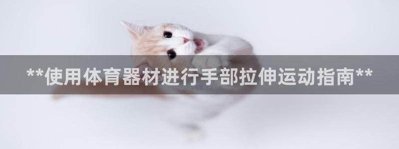 极悦娱乐代理人是谁：**使用体育器材进行手部拉伸运动
