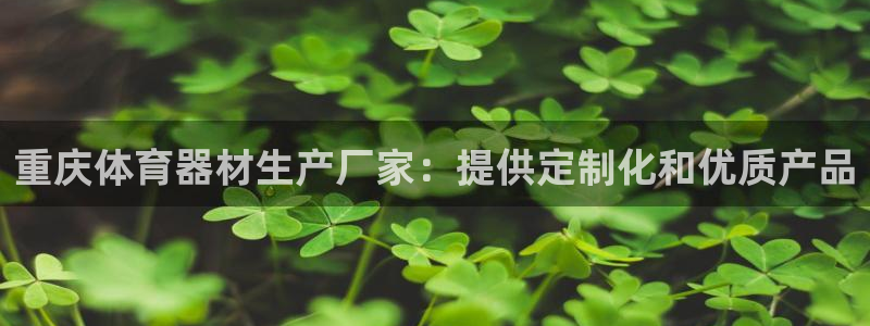极悦平台官方网站下载安卓：重庆体育器材生产厂家：提供