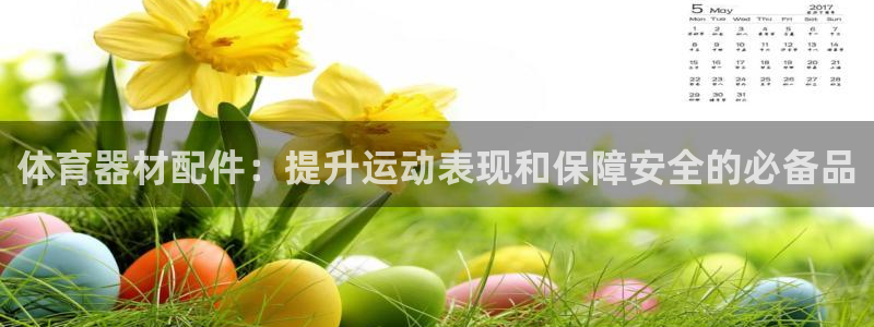 极悦平台用户反馈和反馈：体育器材配件：提升运动表现和