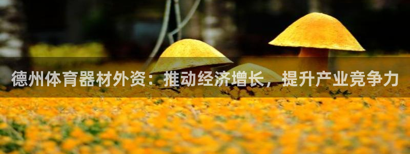 极悦平台注册流程图片：德州体育器材外资：推动经济增长
