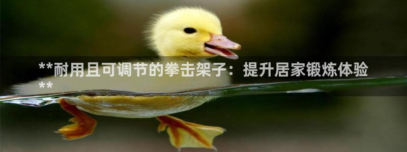 极悦平台发7O777：**耐用且可调节的拳击架子：提