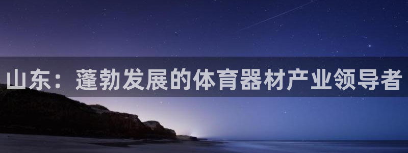 极悦平台股东：山东：蓬勃发展的体育器材产业领导者