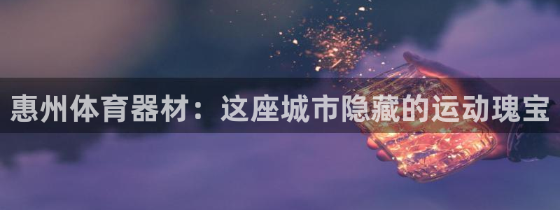 极悦生活家是什么平台的产品：惠州体育器材：这座城市隐