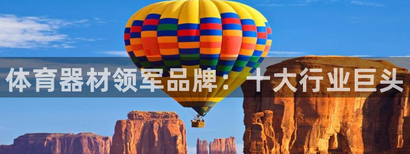 极悦娱乐贴吧官网：体育器材领军品牌：十大行业巨头