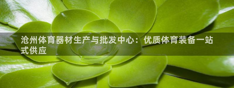 极悦娱乐会被骗吗知乎文章：沧州体育器材生产与批发中心