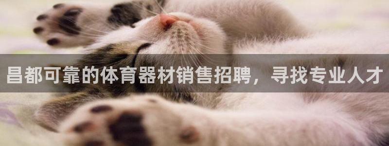 极悦平台注册流程图片：昌都可靠的体育器材销售招聘，寻