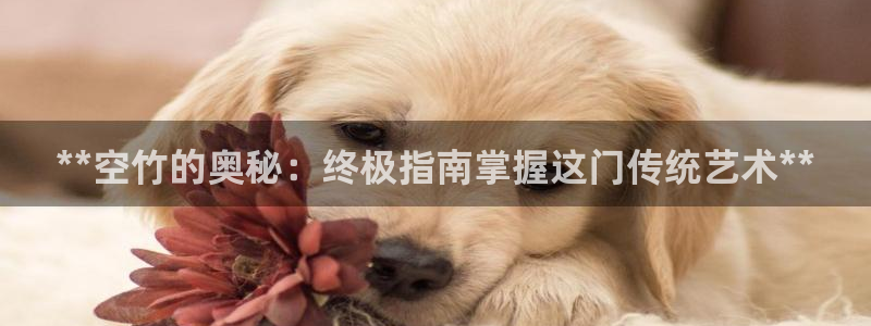 极悦平台注册登录入口在哪：**空竹的奥秘：终极指南掌