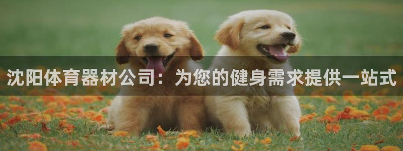 极悦平台注册登录入口官网：沈阳体育器材公司：为您的健