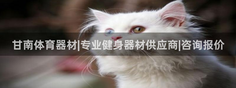 极悦娱乐负责人怎么样