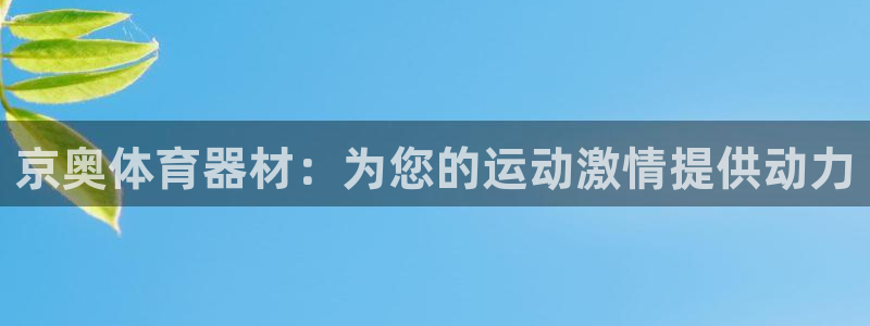 极悦平台与网易合作详情在哪