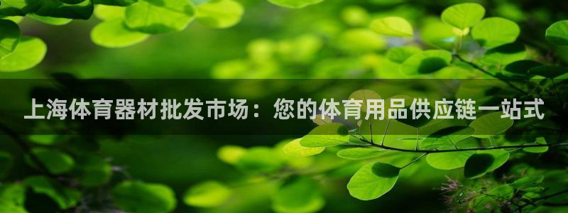 极悦娱乐官网最新版本更新内容视频：上海体育器材批发市场：您的