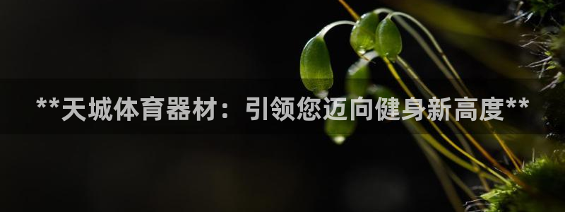 极悦平台注册失败如何解决方法：**天城体育器材：引领您迈向健