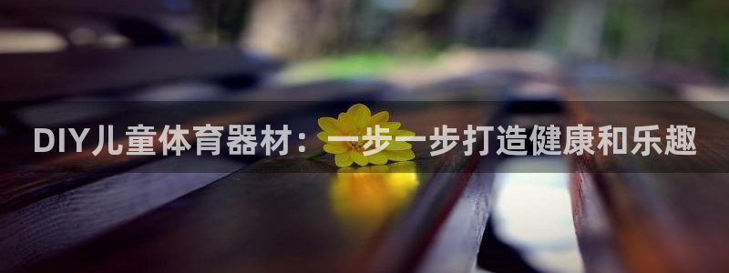 极悦平台安全吗：DIY儿童体育器材：一步一步打造健康
