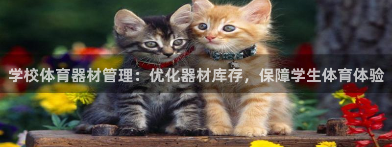 极悦娱乐官方网站首页