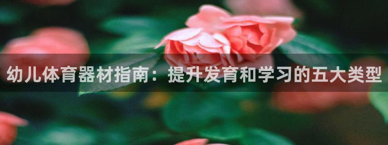 极悦娱乐分7O777：幼儿体育器材指南：提升发育和学习的五大