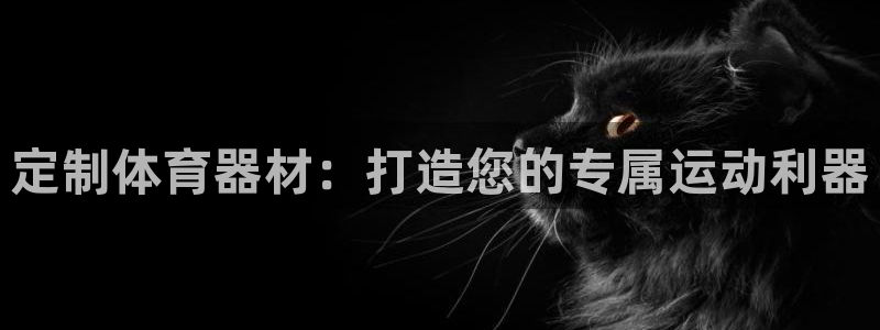 极悦平台创始人背景故事是什么：定制体育器材：打造您的