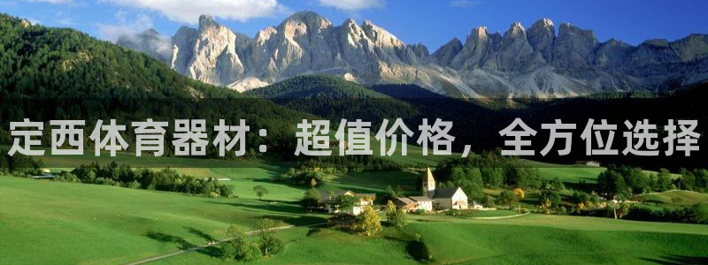 极悦平台和蓝狮平台区别：定西体育器材：超值价格，全方位选择