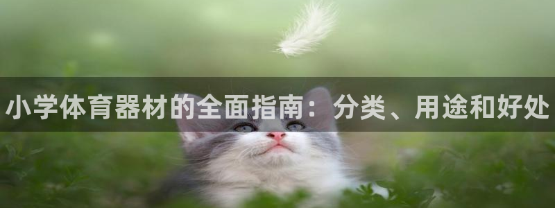 极悦娱乐创始人背景故事简介：小学体育器材的全面指南：分类、用