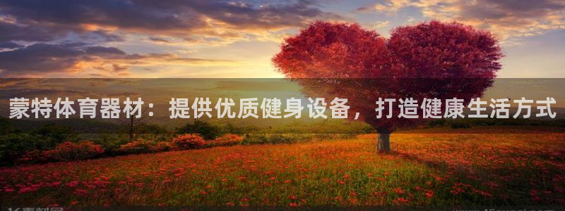 极悦平台家7O777：蒙特体育器材：提供优质健身设备，打造健