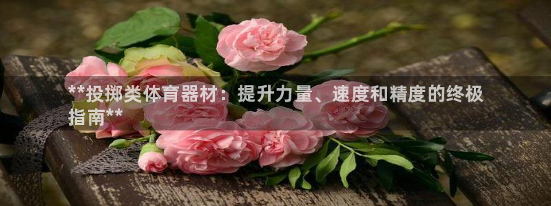 极悦平台客服团队名称：**投掷类体育器材：提升力量、速度和精