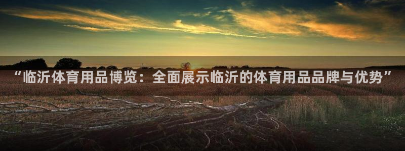 极悦平台注册用户名格式是什么：“临沂体育用品博览：全