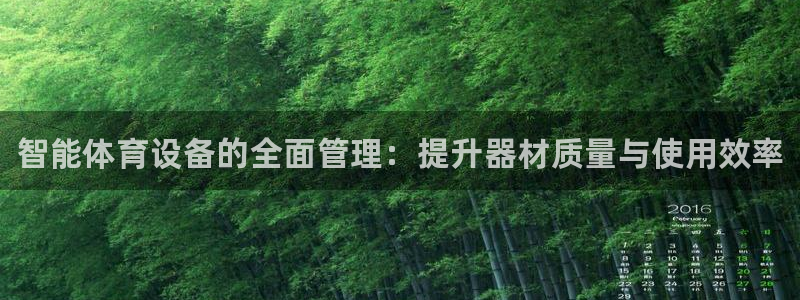 极悦平台好7.0.2.4怎么样：智能体育设备的全面管
