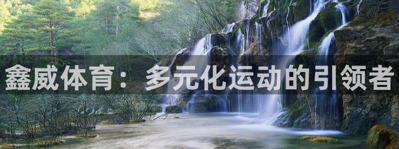 极悦娱乐股东有哪些：鑫威体育：多元化运动的引领者