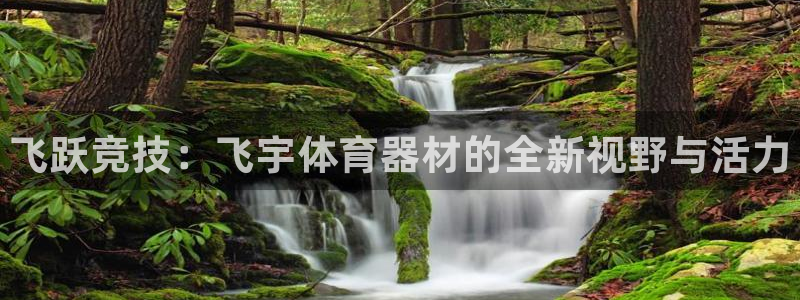 极悦娱乐官网入口下载：飞跃竞技：飞宇体育器材的全新视