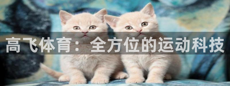 极悦娱乐官网最新版本更新内容下载：高飞体育：全方位的运动科技