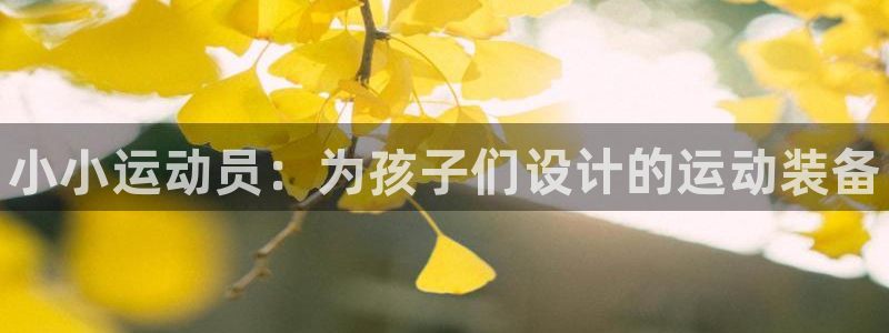 极悦平台官方网站首页入口：小小运动员：为孩子们设计的