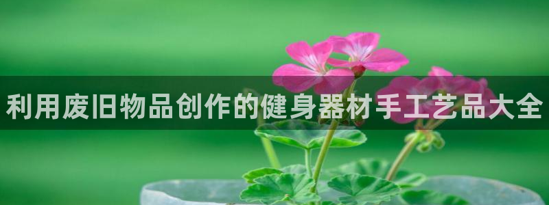 极悦平台app安全吗是真的吗：利用废旧物品创作的健身器材手工