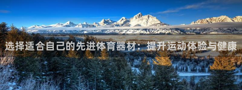 极悦平台用户评价在哪里看：选择适合自己的先进体育器材：提升运